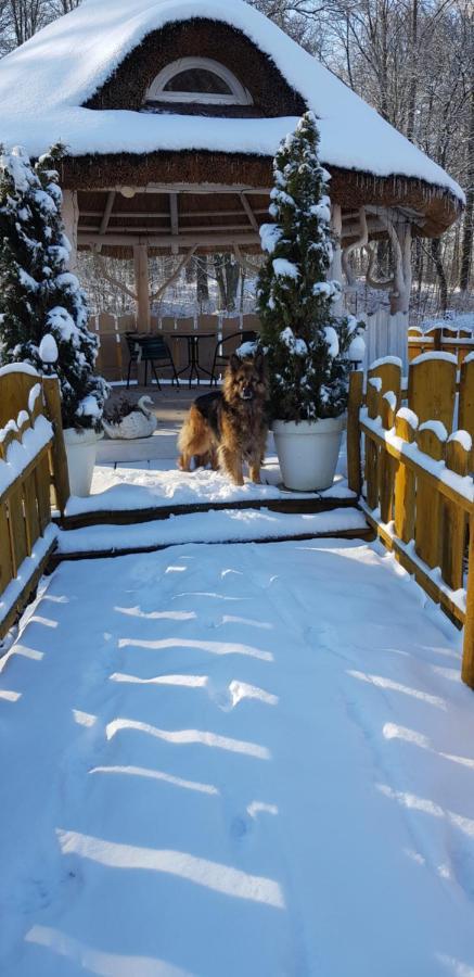Agromurena Gryfow sląski Bagian luar foto