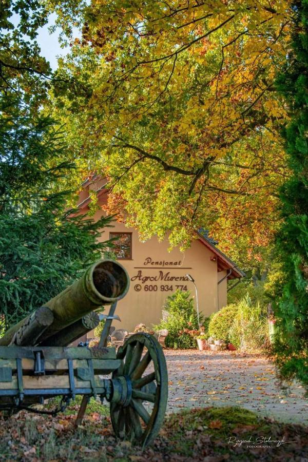 Agromurena Gryfow sląski Bagian luar foto