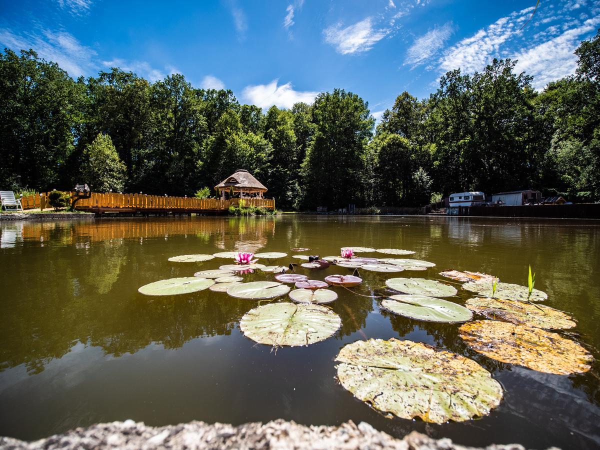 Agromurena Gryfow sląski Bagian luar foto